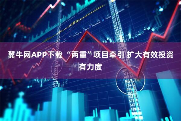 翼牛网APP下载 “两重”项目牵引 扩大有效投资有力度