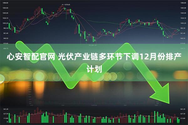 心安智配官网 光伏产业链多环节下调12月份排产计划
